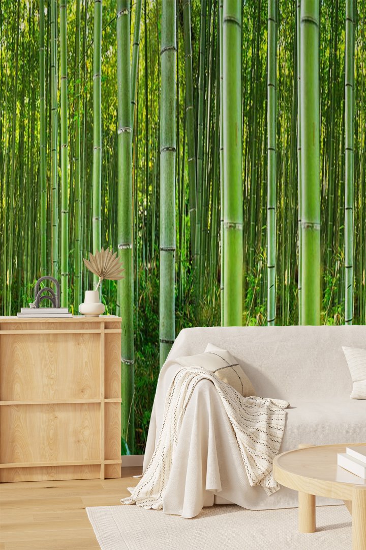Bambu Ormanı, Sık Bambu Gövdeleri ve Doğa Manzaralı Tek Parça Tekstil Duvar Kağıdı