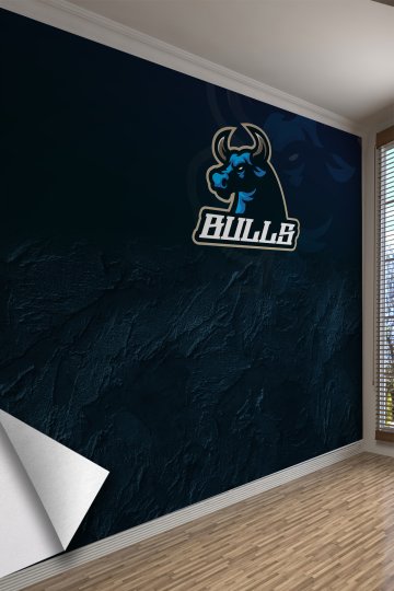 Bulls Takım Ruhu Spor Salonu & Fitness Tek Parça Tekstil Poster Duvar Kağıdı
