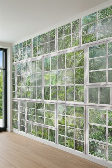 Dreamwall Büyük Cam Pencereler ve Tropikal Orman Manzaralı Tek Parça Tekstil Duvar Kağıdı küçük görsel 3