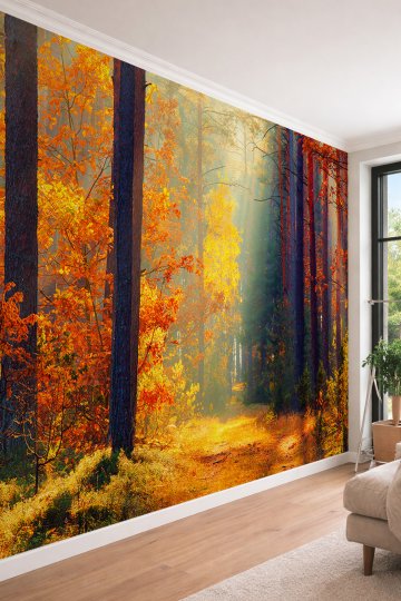 Dreamwall Güneş Işığı Hüzmeli Sonbahar Ormanı Manzaralı Tek Parça Tekstil Duvar Kağıdı