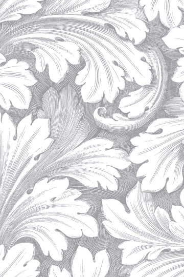 Dreamwall Monokrom Yaprak Motifli ve Damask Desenli Tek Parça Tekstil Duvar Kağıdı küçük görsel 3