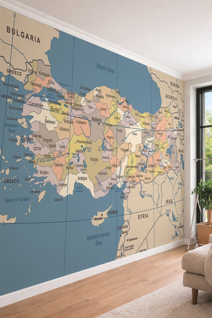 Dreamwall Profesyonel Türkiye Siyasi Haritası - Ofis ve Eğitim Temalı Tekstil Duvar Kağıdı