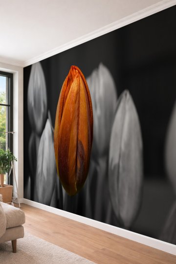 Dreamwall Sanatsal Lale Tomurcuğu - Makro Tasarım Tek Parça Tekstil Duvar Kağıdı