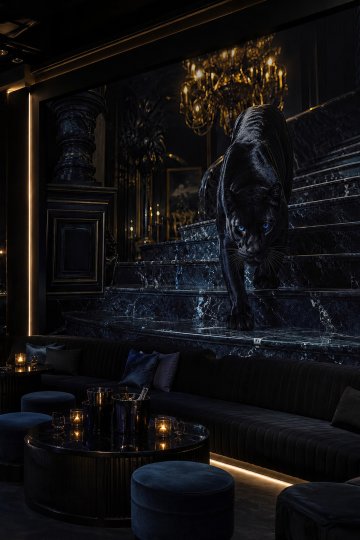 Dreamwall Sarayın Gölgesi- Siyah Panter Hayvan Desenli Tek Parça Tekstil Duvar Kağıdı