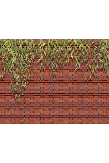Dreamwall Sarkıt Okaliptüs Yapraklı Kırmızı Tuğla Görünümlü Tek Parça Tekstil Duvar Kağıdı küçük görsel 4