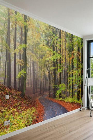 Dreamwall Sonbahar Orman Yolu Manzaralı Doğa Temalı Tek Parça Tekstil Duvar Kağıdı küçük görsel 2
