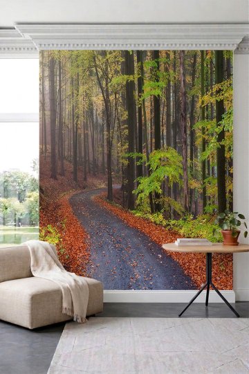 Dreamwall Sonbahar Orman Yolu Manzaralı Doğa Temalı Tek Parça Tekstil Duvar Kağıdı küçük görsel 1