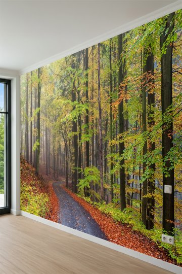 Dreamwall Sonbahar Orman Yolu Manzaralı Doğa Temalı Tek Parça Tekstil Duvar Kağıdı küçük görsel 3