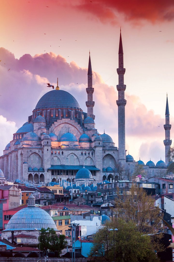 Dreamwall Süleymaniye Camii ve İstanbul Panoraması Tek Parça Tekstil Duvar Kağıdı
