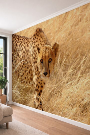 Dreamwall Vahşi Doğa ve Çita - Safari Temalı Tek Parça Tekstil Duvar Kağıdı