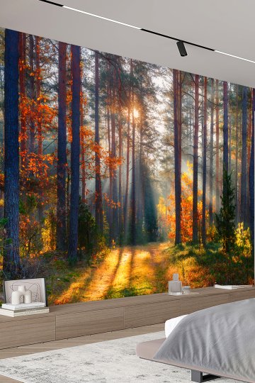 Sonbahar Ormanı Gün Işığı Manzara Tekstil Duvar Kağıdı